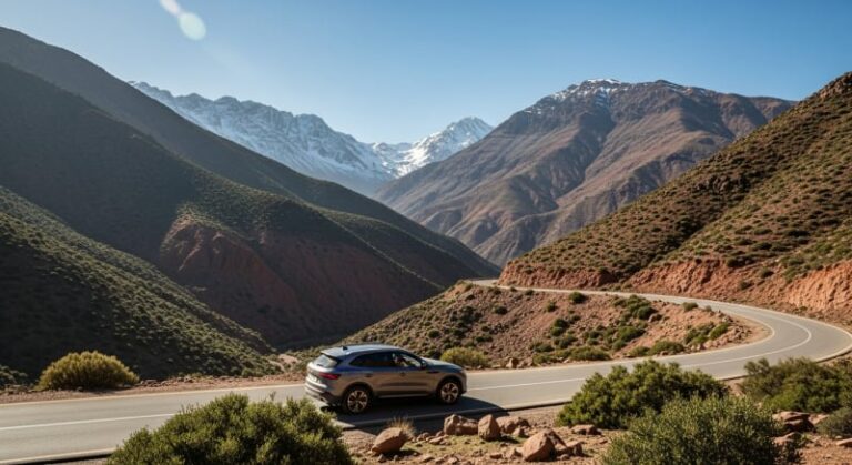 أفضل شركات تأمين السيارات في المغرب 2026: دليل المقارنة